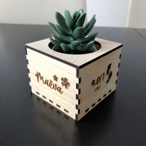 May include: A wooden planter box with a succulent plant inside. The box is engraved with the name "Maëva" and the date "9.017" with "lbs" underneath. The box has a black and white checkered pattern on the side.