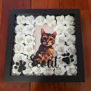 Pets, Pet Memorial, Memorial of loved ones,Loss of A Pet, Memorial Frames, Memorial Of A Cat, Memorial of a dog, Loss of A Dog, Loss ofA Cat