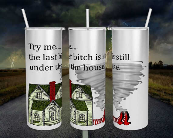 20 0z skinny tumbler - Wizard of Oz  - Last Bitch