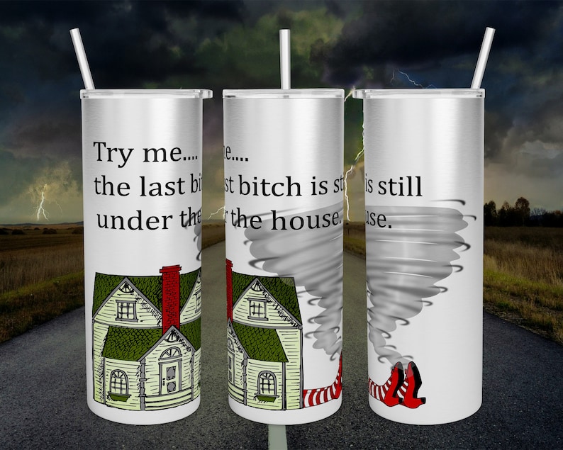 20 0z skinny tumbler - Wizard of Oz - Last Bitch image 1