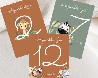 Baby milestone cards