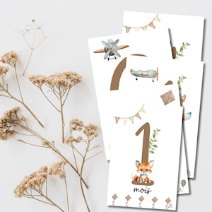 Cartes étapes bébé Renard