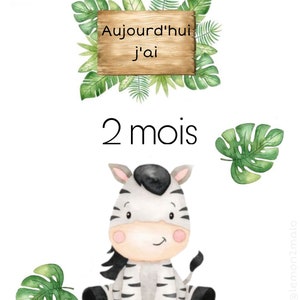Cartes étapes bébé