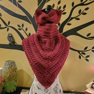 Handmade Crochet Cozy Camp Scarlet Cowl and Earwarmer Set