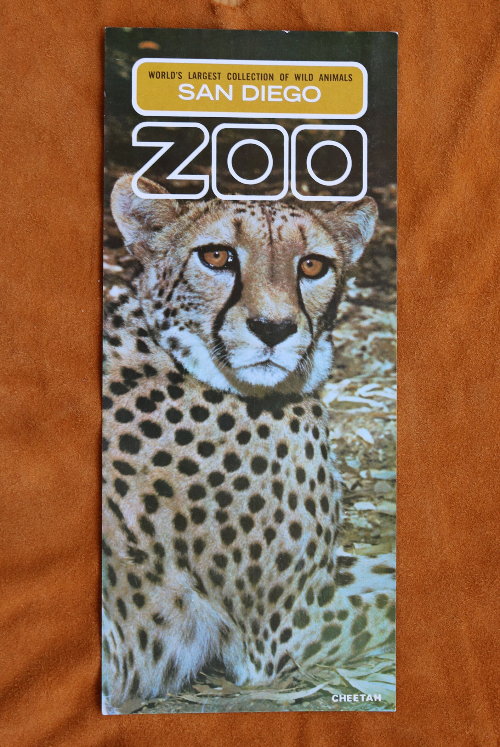 1960's San Diego Zoo Brochures Etsy 1960's San Diego Zoo Brochures Etsy