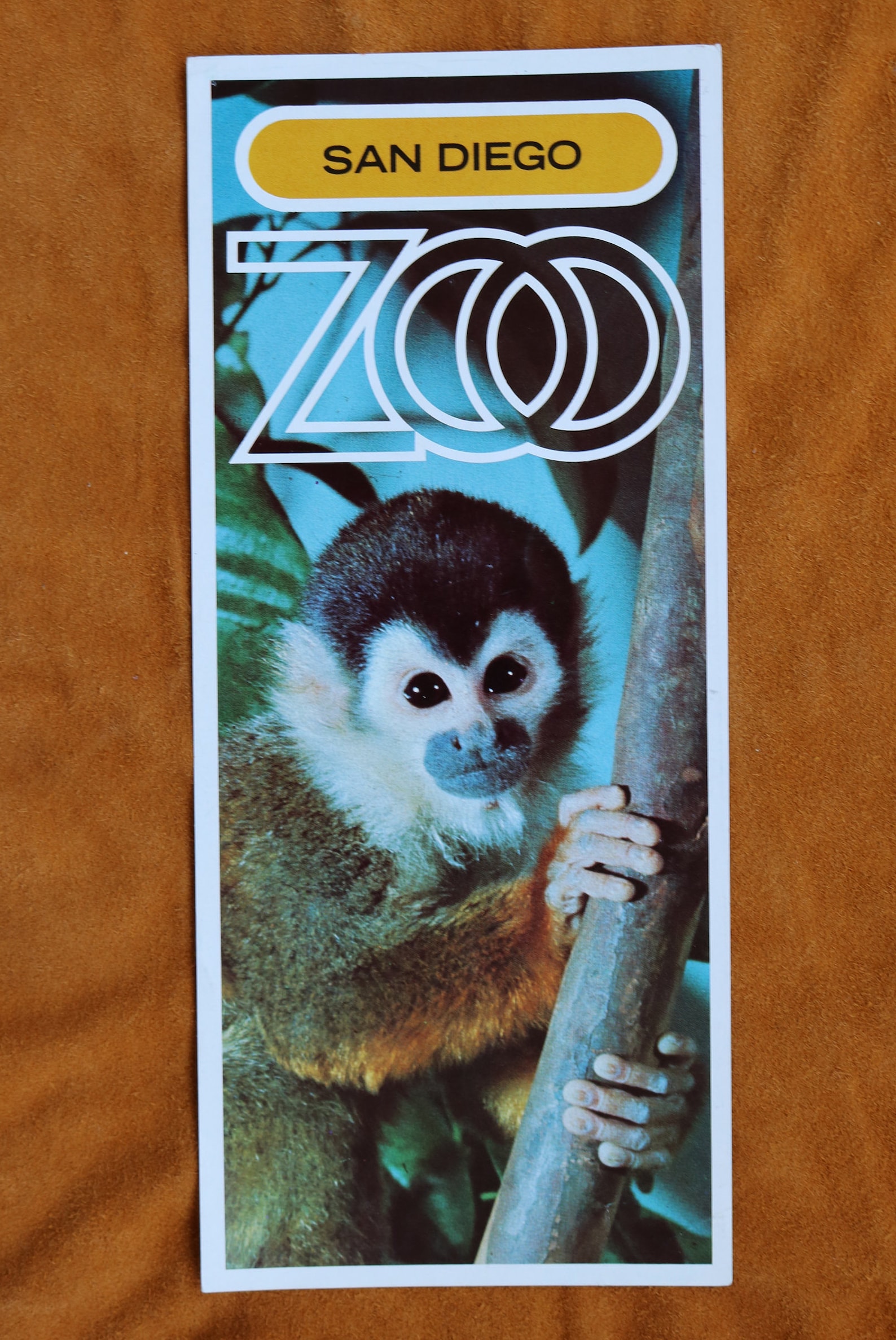 1960's San Diego Zoo Brochures Etsy 1960's San Diego Zoo Brochures Etsy