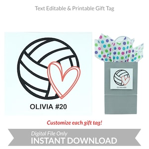 Volleyball Gift Tag, Text Editable, Customize Each Tag, Printable, Personalize, Instant Digital Download