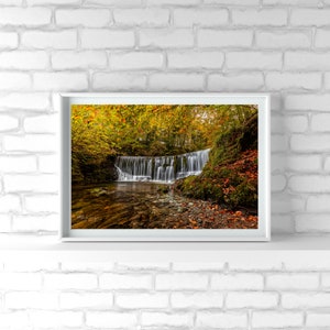 May include: A framed photograph of a waterfall cascading through a forest in autumn. The leaves are a mix of yellow, orange, and red. The water is clear and flowing over rocks.