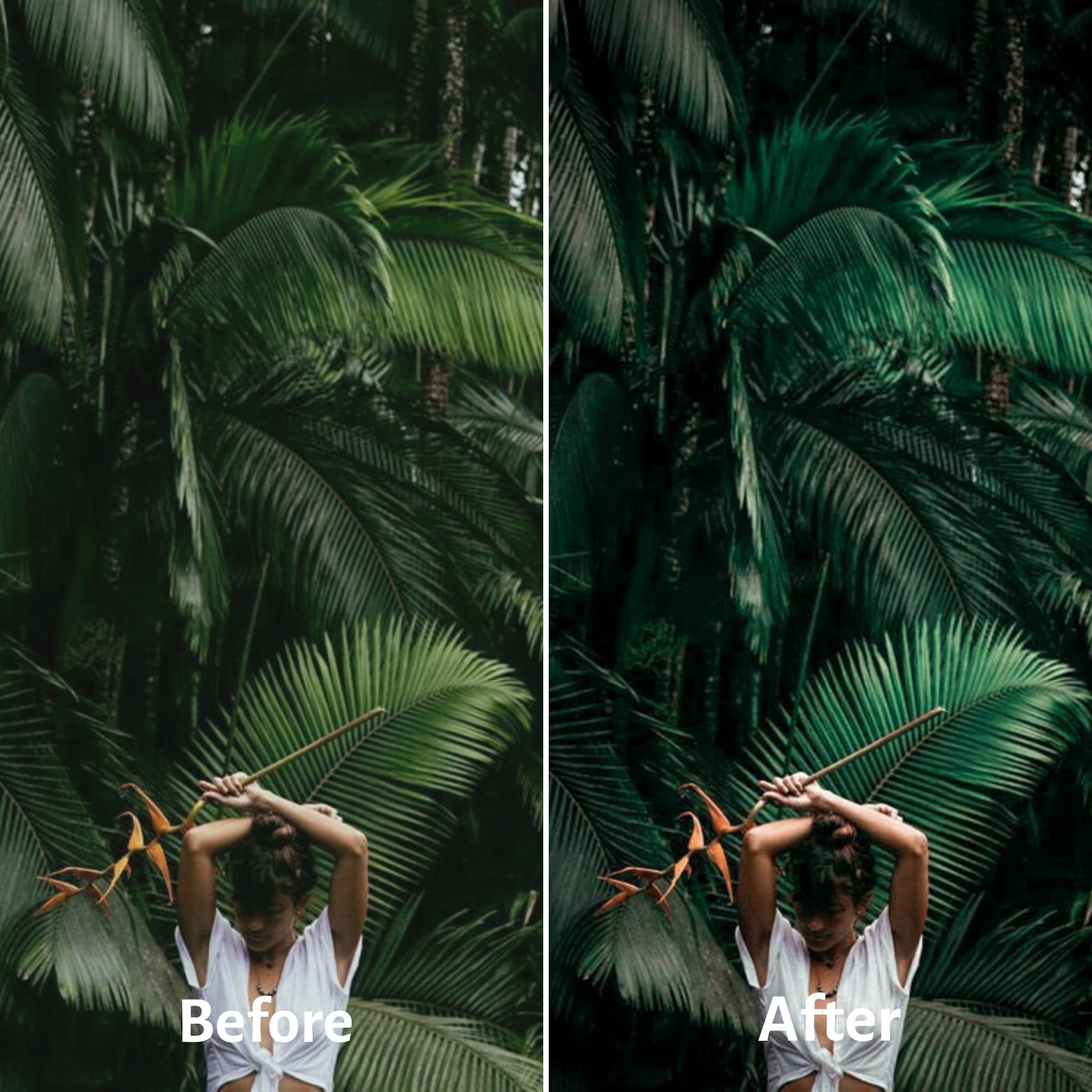 DEEP NATURE Lightroom Preset Dark Nature Preset Deep Forest Etsy