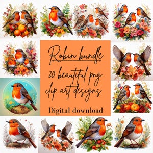 Descarga digital de petirrojo, diseños digitales de decoupage, imprimibles de aves, manualidades de papel PNG, clipart de petirrojo, paquetes digitales, manualidades PNG, animales