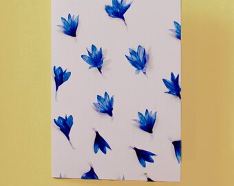 Mappa | Arte illustrata | Fiori blu | Misura 5x7 con busta