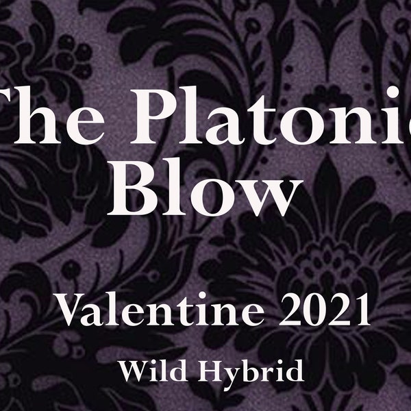 L'huile de parfum Platonic Blow - 5 ml de cèdre baumier, d'écorce de cannelle, de bergamote, de musc blanc, de mousse espagnole et de civette