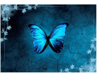 Aceite perfumado Moon Moth - 5 ml. Cinco almizcles pálidos y luminiscentes, té blanco, jugo de pera turbio, vainilla cremosa, trompeta de ángel y chocolate blanco.