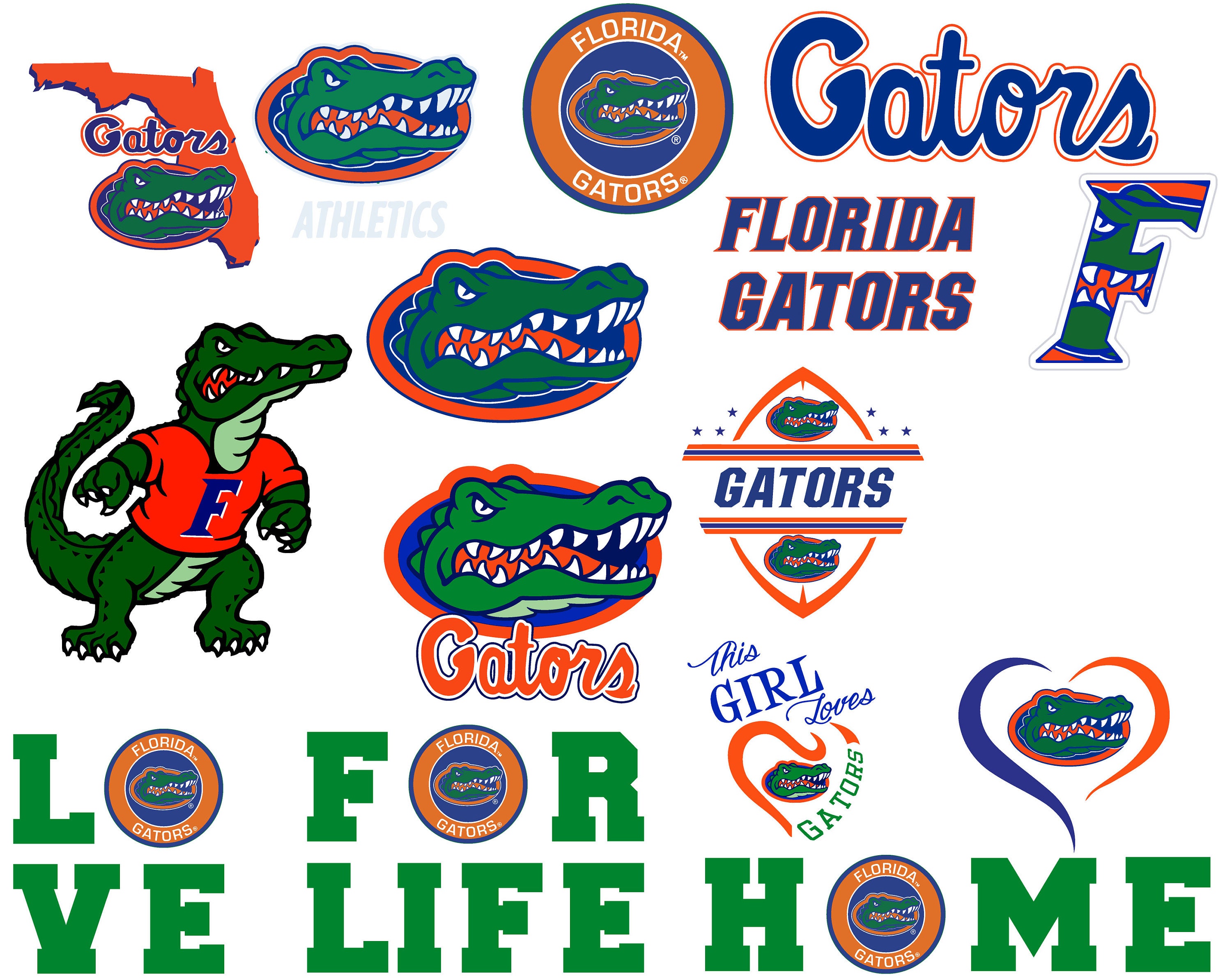 Florida Gators Ranking Basketball - j9ub3h6