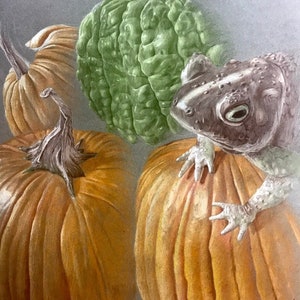 Nature morte à la citrouille