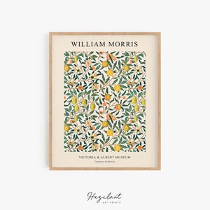 Puede incluir: Una impresi&oacute;n art&iacute;stica enmarcada con un dise&ntilde;o de William Morris. La impresi&oacute;n muestra un patr&oacute;n repetitivo de frutas amarillas y naranjas, hojas verdes y flores blancas sobre un fondo crema. El texto "WILLIAM MORRIS" y "VICTORIA & ALBERT MUSEUM" son visibles.