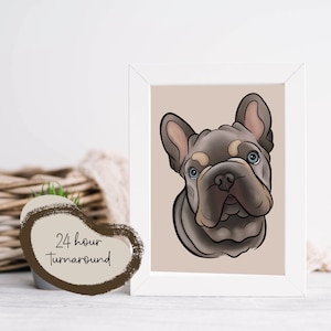 Custom Cartoon Style Pet Illustration - Personalised Pet Portraits Digital and Printed by LC Illustration