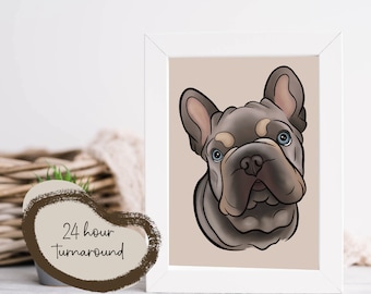 Custom Cartoon Style Pet Illustration - Personalised Pet Portraits Digital and Printed by LC Illustration