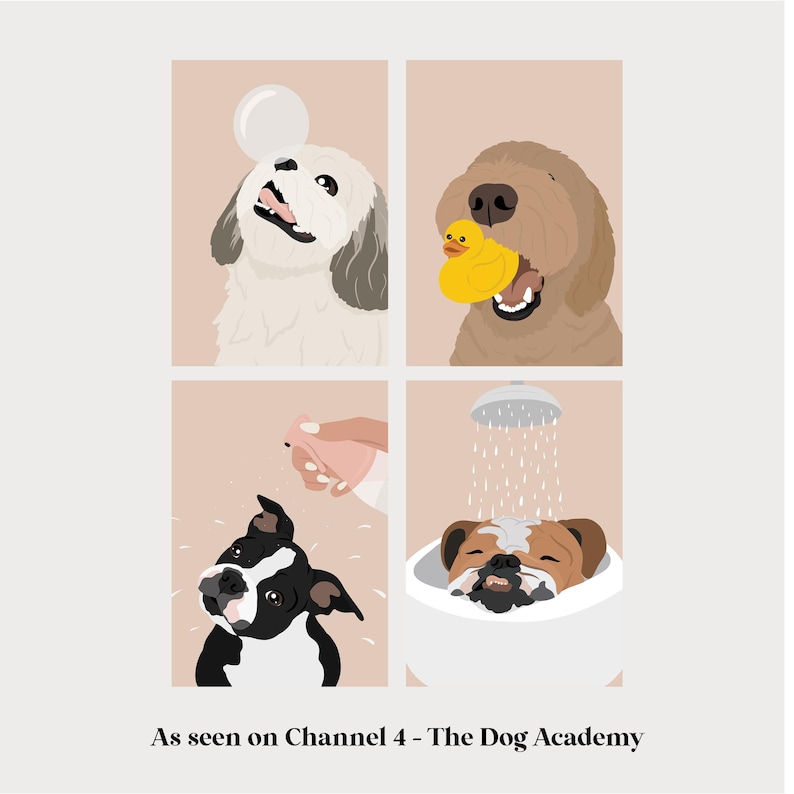 Dog Grooming Prints and Illustrations. Dog Groomer Gift. Grooming Salon Décor. Grooming Logo. Dog Grooming Salon Wall Art. Custom Pet Art. image 1
