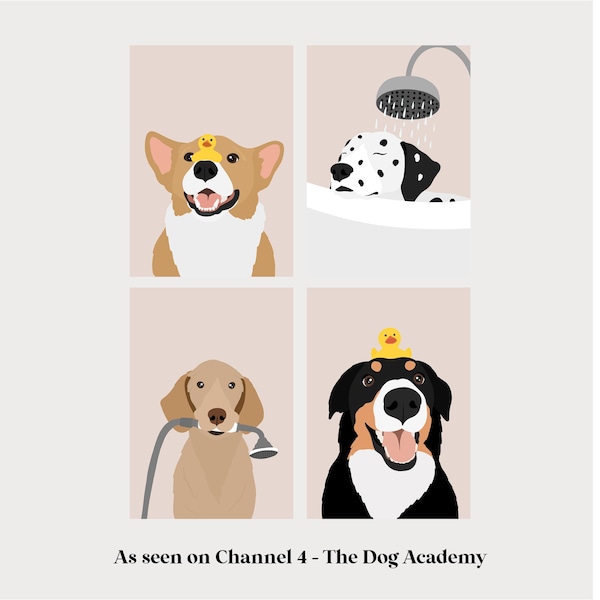 Dog Grooming Prints. Dog Groom Illustrations. Dog Groomer Gift. Grooming Salon Décor. Grooming Logo. Wall Art for Groomer.