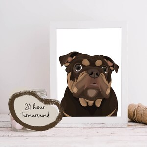 Custom Detailed Pet Illustration. Personalised Portraits of Dogs, Cats, Horses, etc. All Animals Welcome. Digital or Printed Gift.