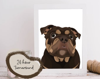 Custom Pet Illustration - Personalised Pet Portraits Digital and Printed by LC Illustration