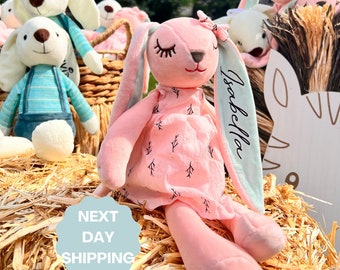 Custom Bunny Ears Plush, Personalized Baby Gifts, Gifts for Baby Boy and Baby Girl, Newborn Gifts, Pink plush Bunnies, Blue Bunny
