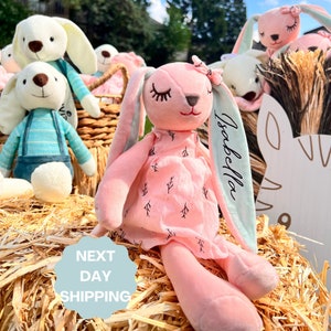 Custom Bunny Ears Plush, Personalized Baby Gifts, Gifts for Baby Boy and Baby Girl, Newborn Gifts, Pink plush Bunnies, Blue Bunny