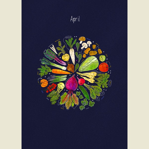 Saisonkalender DIN A3 | Obst und Gemüse in Deutschland | handgezeichnete Illustrationen | jedes Jahr wiederverwendbar | Spiralbindung | Blau