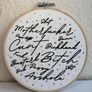 Curse Word Embroidery Hoop: Vulgar Confetti Decor, 6 inch Pink/Blue (Trans)