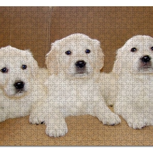 126-piece Magnetic Personalised Jigsaw Puzzle
