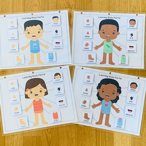 Preschool human body activity, learning body parts, Learning about human body parts, Homeschool learning game