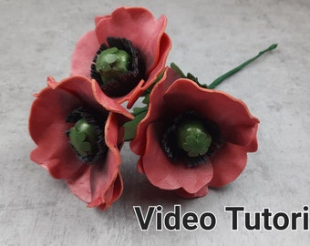 Modello video Fiori di papavero Tutorial fai da te sui fiori di carta Regalo artigianale con la carta Decorazione per feste, Decorazione floreale per pareti Decorazione per la stanza Schiuma Isolon EVA 2 mm