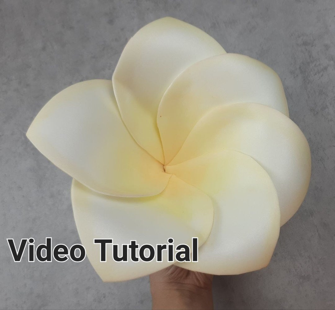 Plumeria Flowers Video Template DIY Paper Flower Paper Craft Gift Wedding Decoration, Floral ...