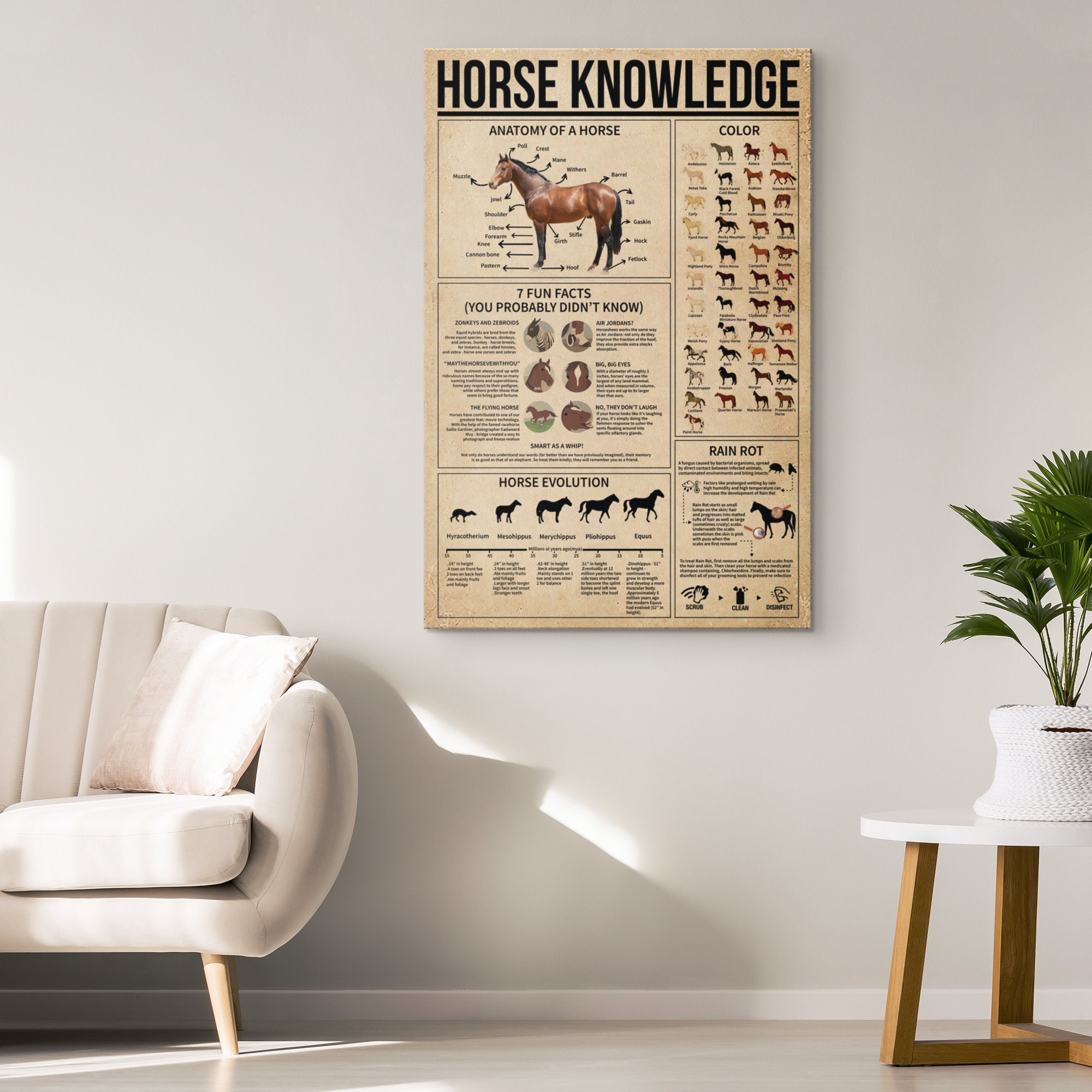 Horse Knowledge Print Canvas Poster Print Wall Art Etsy