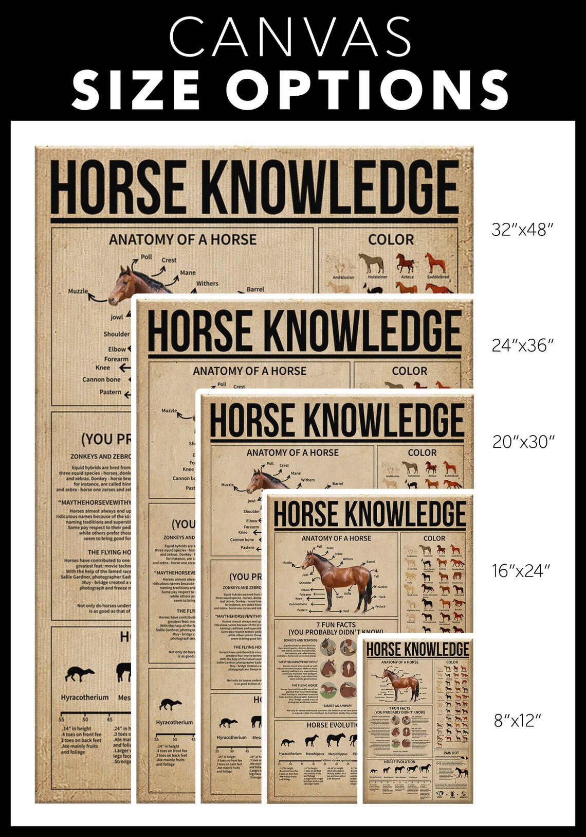 Horse Knowledge Print Canvas Poster Print Wall Art Etsy