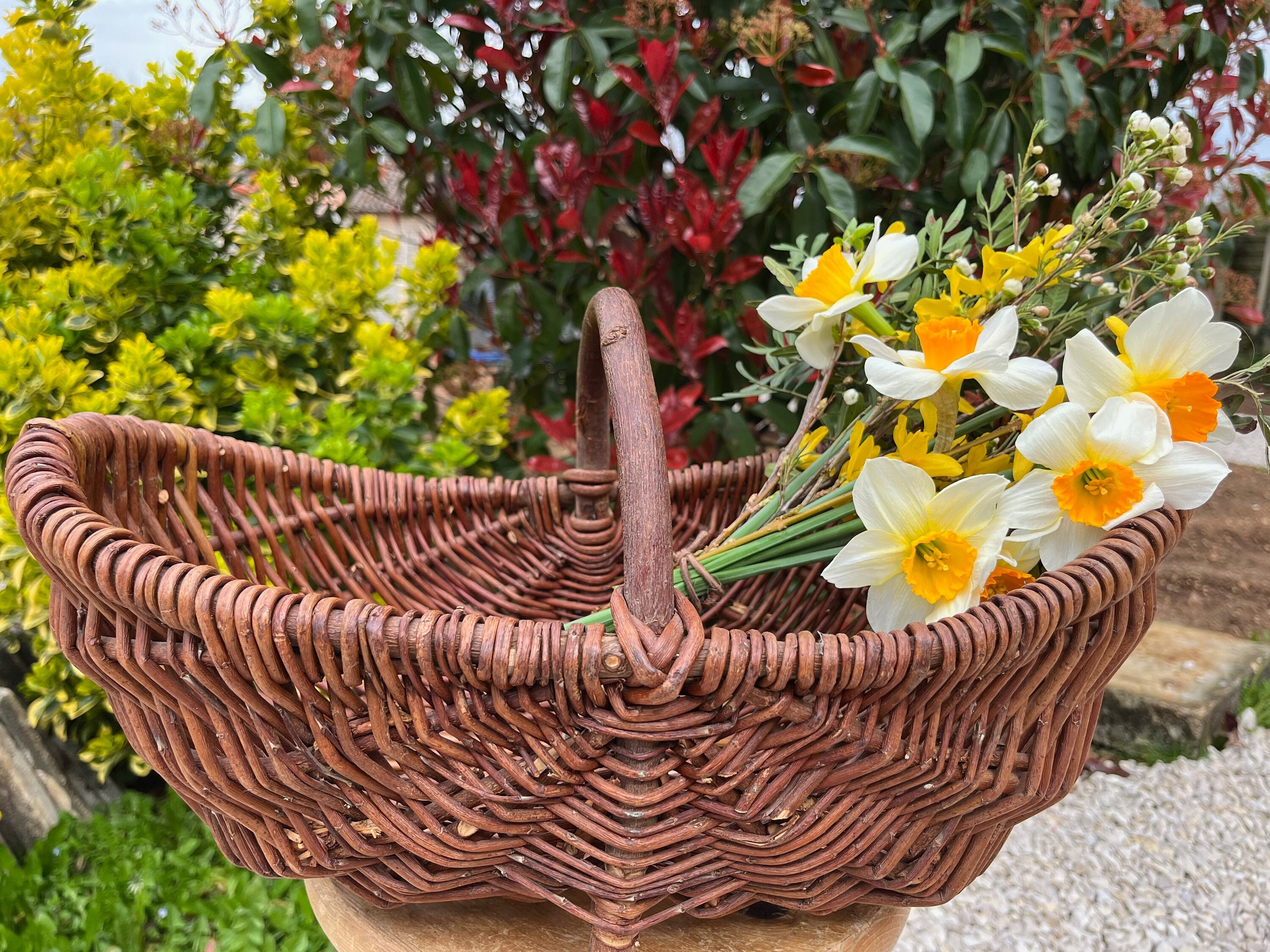 Garden Gathering Basket  Amish Harvest & Farmers Market Basket