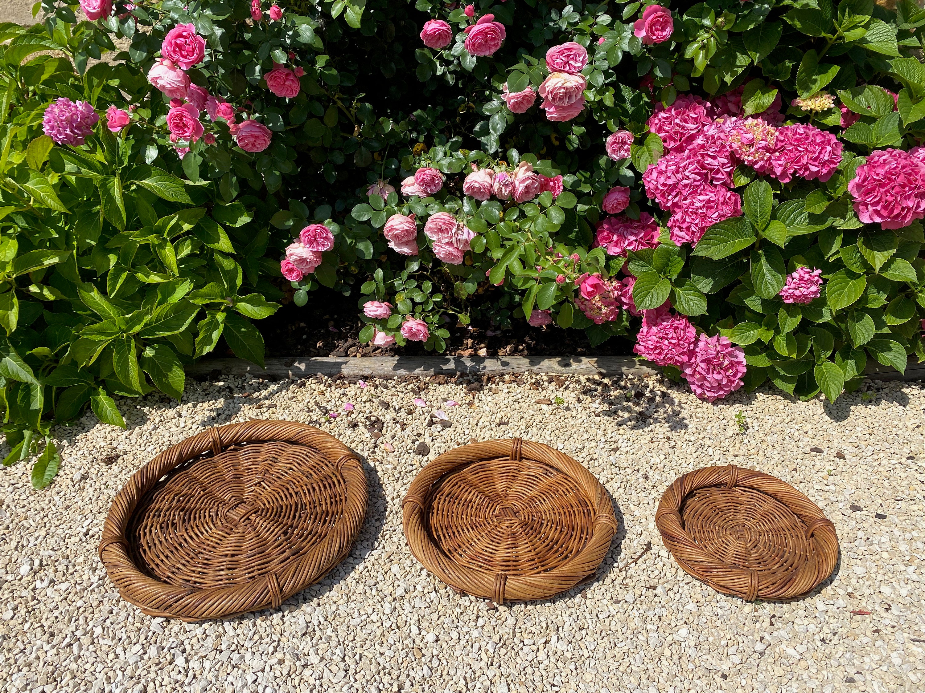 3 Grands Plateaux en Osier Vintage Français, Stands de Plantes