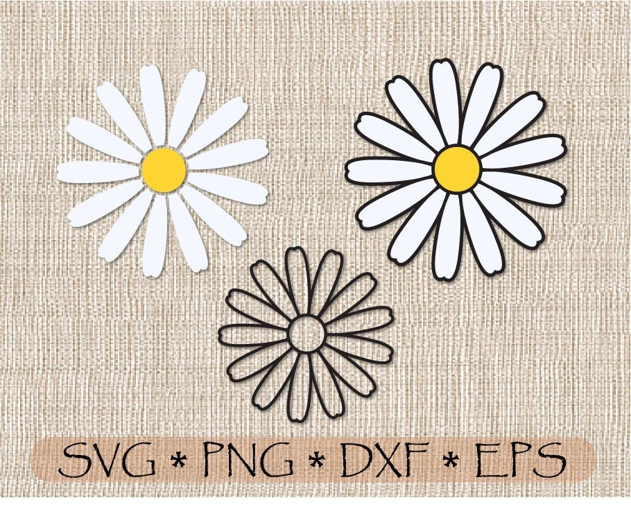 Chamomile SVG PNG DXF Daisy flower Layered cuttable file print | Etsy