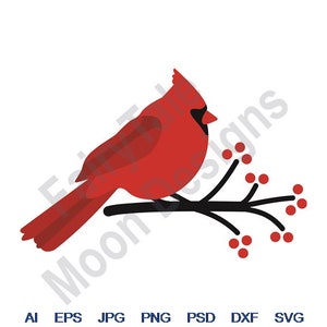 Roter Kardinal -Svg, Dxf, Eps, Png, Jpg, Vektorkunst, Clipart, Schnittdatei, Weihnachtskardinal svg, Roter Beerenzweig Schnittdatei