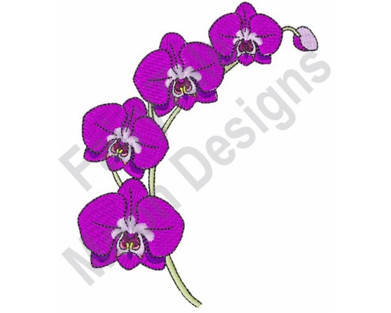 Purple Orchid Machine Embroidery Design Orchid Flowers Etsy Hong Kong