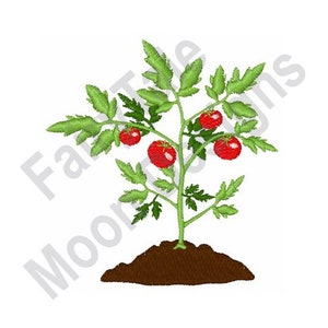Tomato Plant - Machine Embroidery Design, Growing Tomato Embroidery Pattern, Garden Fresh Tomatoes Design, Homegrown Tomato Pattern