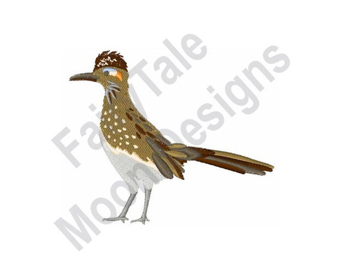 Greater Roadrunner Machine Embroidery Design Roadrunner Etsy