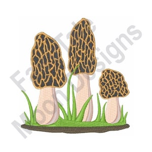May include: Three brown and black morel mushrooms with white stems are growing in green grass. The mushrooms are in a cluster and are surrounded by green grass.