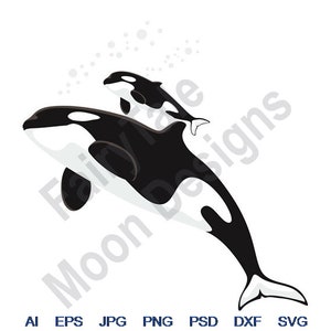Killer Whale - Svg, Dxf, Eps, Png, Jpg, Vector Art, Clipart, Cut File, Killer Whale Svg, Orca Whale Cut File, Baby Killer Whale Svg