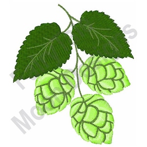 Puede incluir: Un racimo de lúpulo verde con hojas en una vid. El lúpulo es verde y tiene una superficie texturizada.