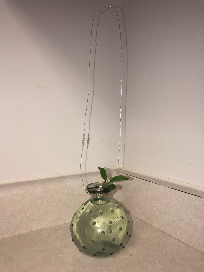 Hanging Root Starter Etsy