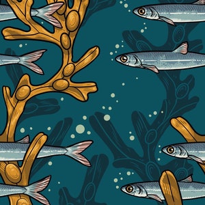 Artful Anchovy - Sold by the Half Yard - Mariana by Rachel Hauer - Free Spirit Fabrics - PWRH081.TEAL