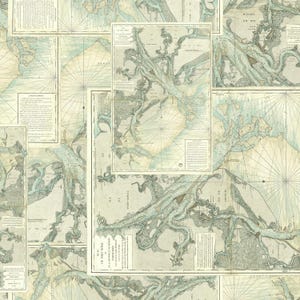 Teal Map - Priced by the Half Yard/Cut Continuous - Palette by Tim Holtz for FreeSpirit Fabrics - PWTH273.TEAL