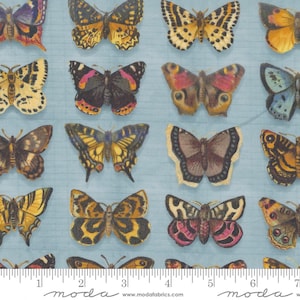 Butterflies on Sky - Junk Journal by Cathe Holden for Moda Fabrics - 100% Cotton - 7412 17
